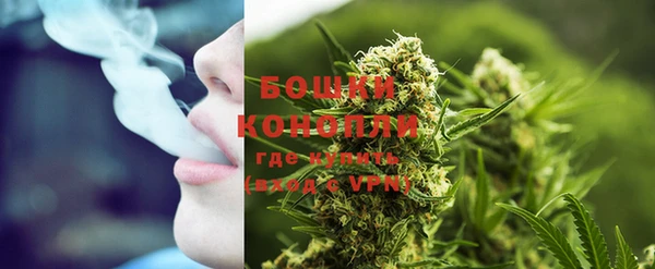 крисы Инта