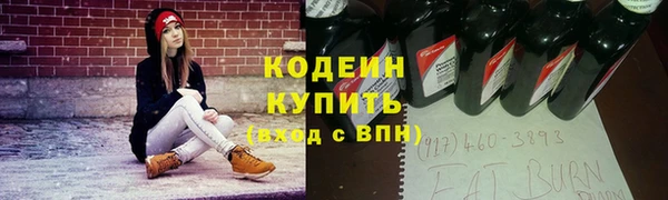 крисы Инта