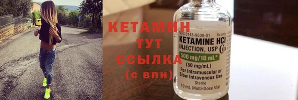 крисы Инта
