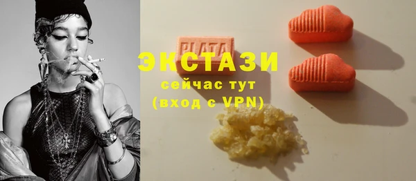 крисы Инта