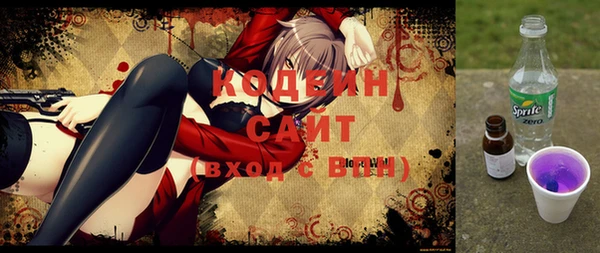 крисы Инта