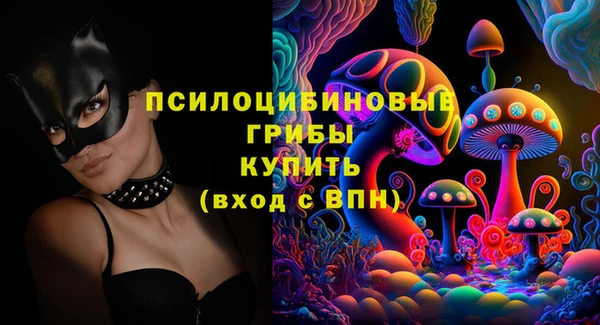 крисы Инта