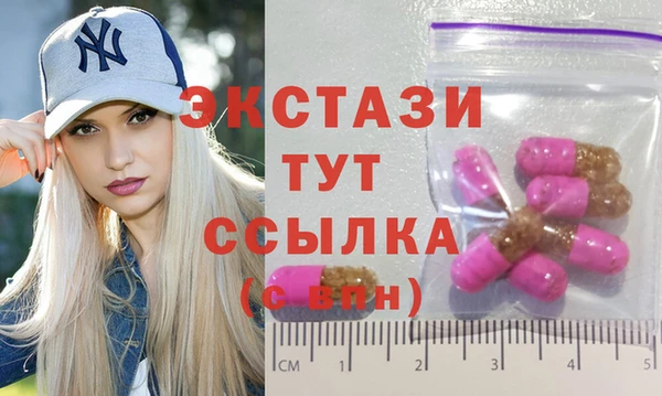 крисы Инта