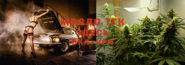 крисы Инта