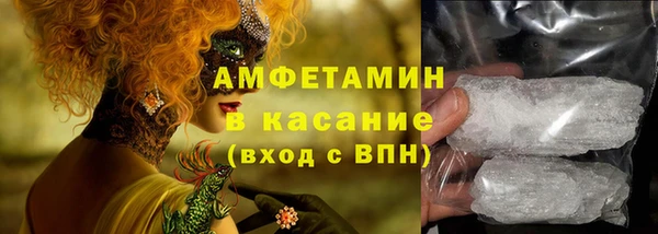 крисы Инта
